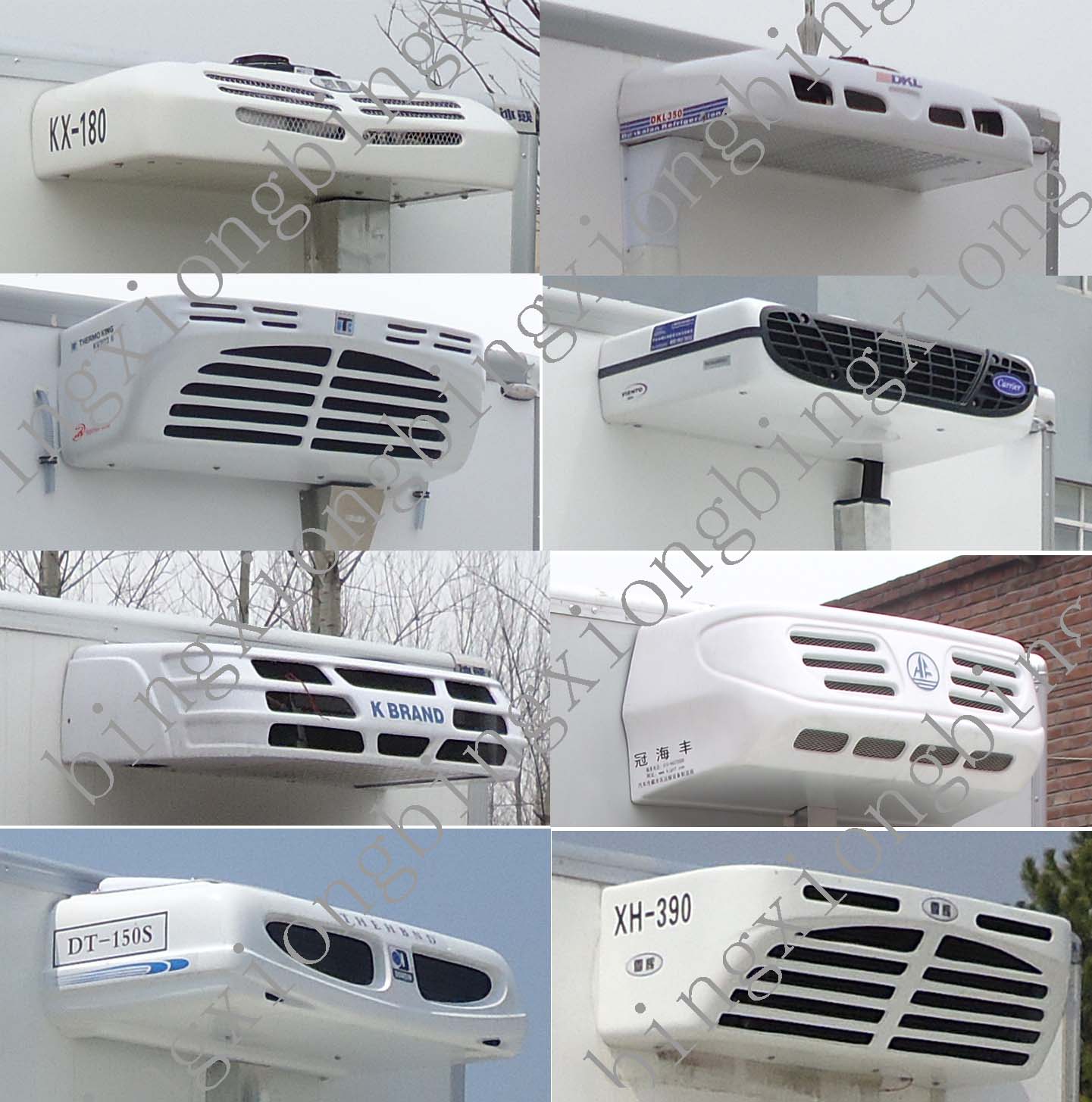 BXL5031XLC1س